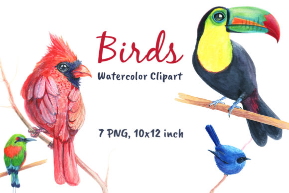 Birds Watercolor Cardinal Clip Art for Real Crafting Projects