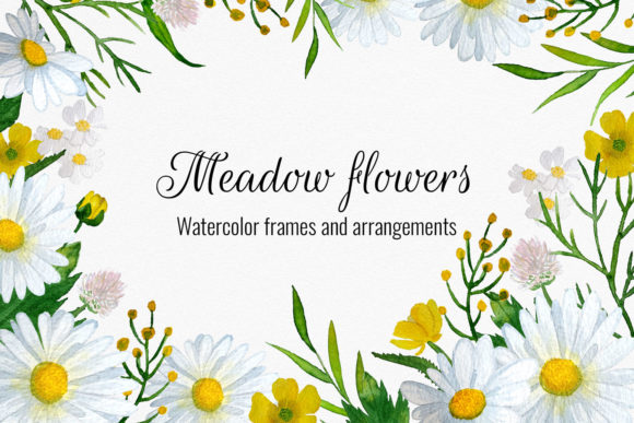 Meadow Flowers Watercolor Cliparts: A Versatile Illustration Set for Creative Projects
