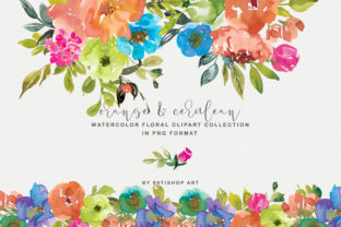 Orange and Cerulean Watercolor Florals for Branding & Illustrations
