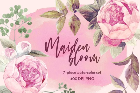 Pink Peony Floral Watercolor Set for Digital Illustrations