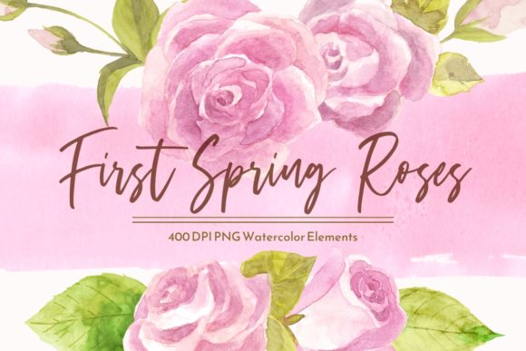 Spring Pink Roses Watercolor Clipart Set: A Versatile Illustration for Modern Branding