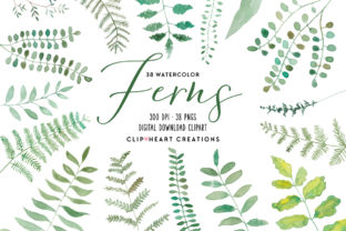 Watercolor Ferns Clipart for Local Business Branding and Packaging