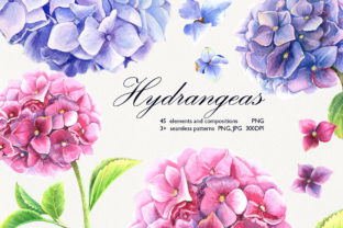 Watercolor Hydrangeas Clip Art Set: A Practical Embroidery Design Review