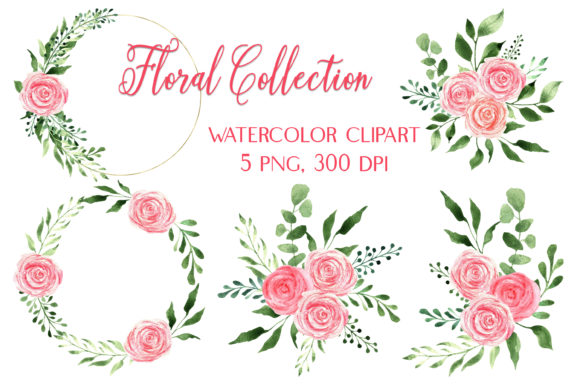 Watercolor Pink Roses Bouquets Wreaths Illustrations