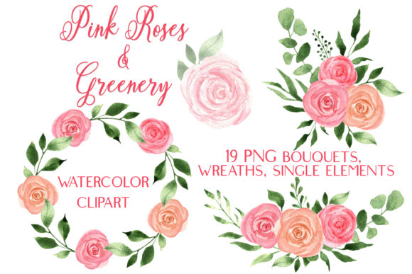Watercolor Pink Roses Greenery Clip Art for Illustrations