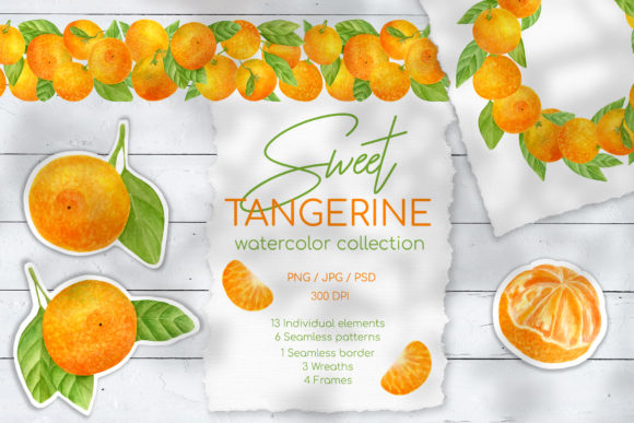 Watercolor Tangerine Clipart Collection Review for Embroidery Projects