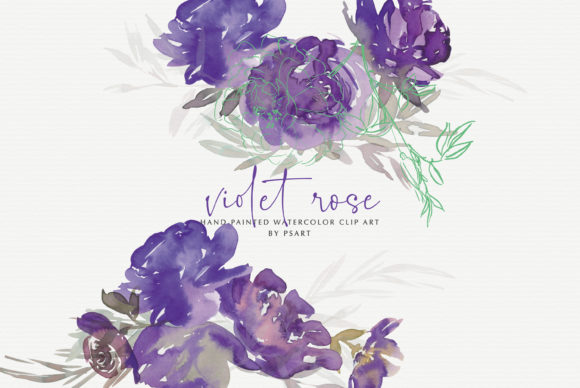 Watercolor Violet Rose Clipart Collection Review