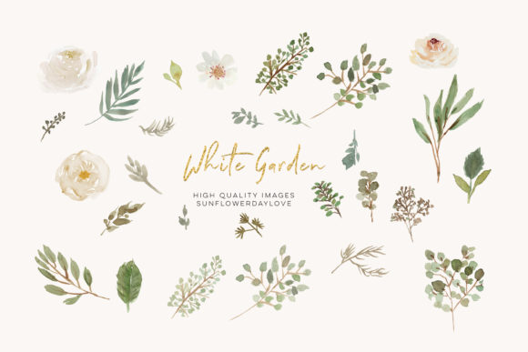 Watercolor White Flowers Clipart, Ivory – A Delicate Illustration for Creative Projects