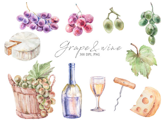 Watercolor Wine and Grape Illustrations for Authentic Design Projects