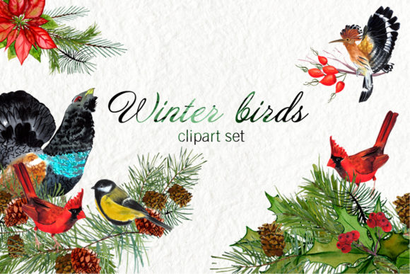 Watercolor Winter Birds: A Versatile Illustration for Creative Sellers