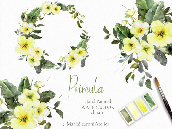 Yellow Spring Watercolor Flowers Clipart and Illustrations